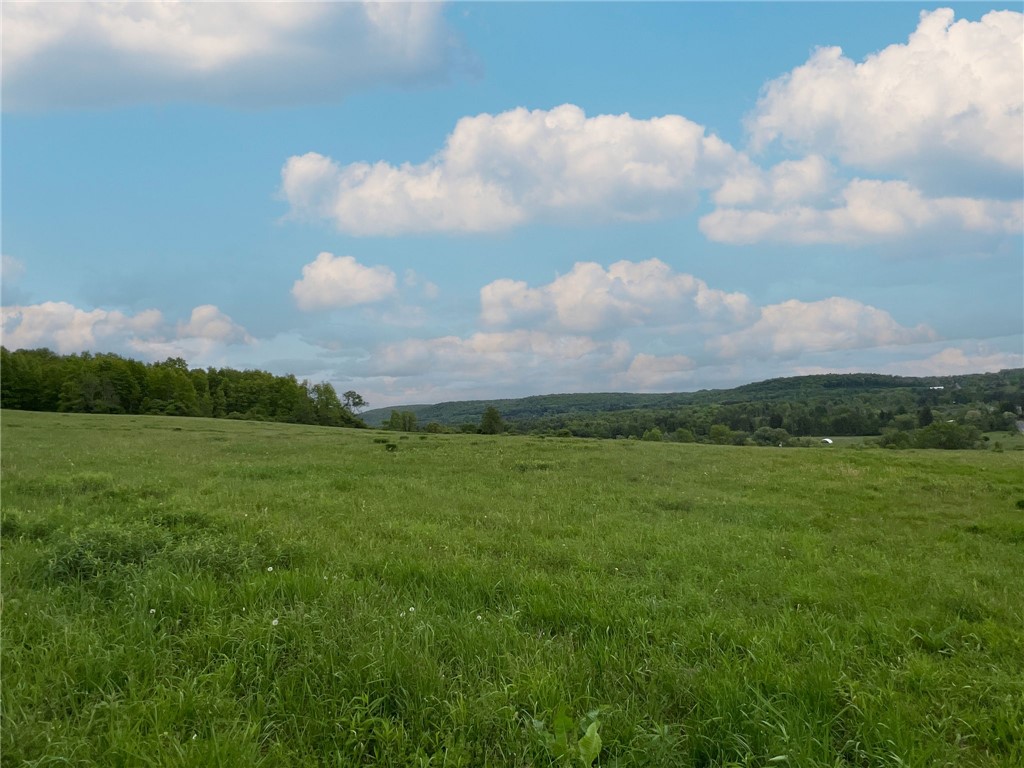 Turkey Hill Road, Dryden, New York image 8