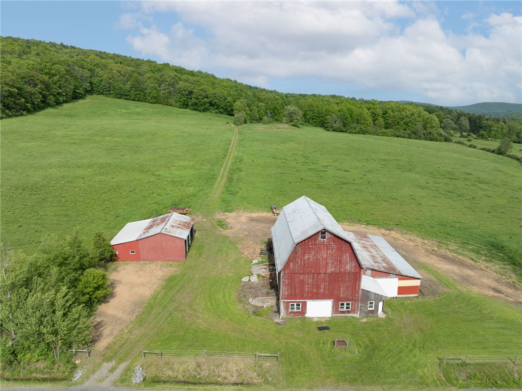 Turkey Hill Road, Dryden, New York image 1
