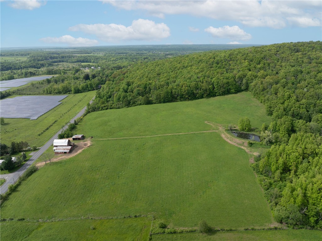Turkey Hill Road, Dryden, New York image 14