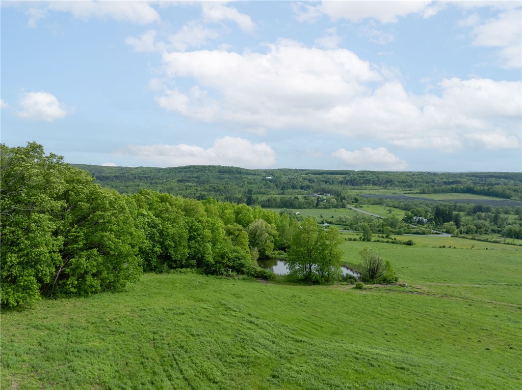 Turkey Hill Road, Dryden, New York image 18