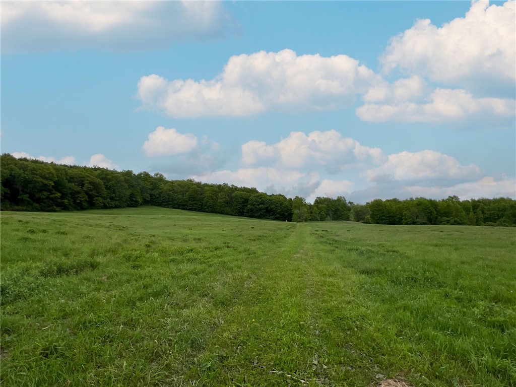 Turkey Hill Road, Dryden, New York image 6