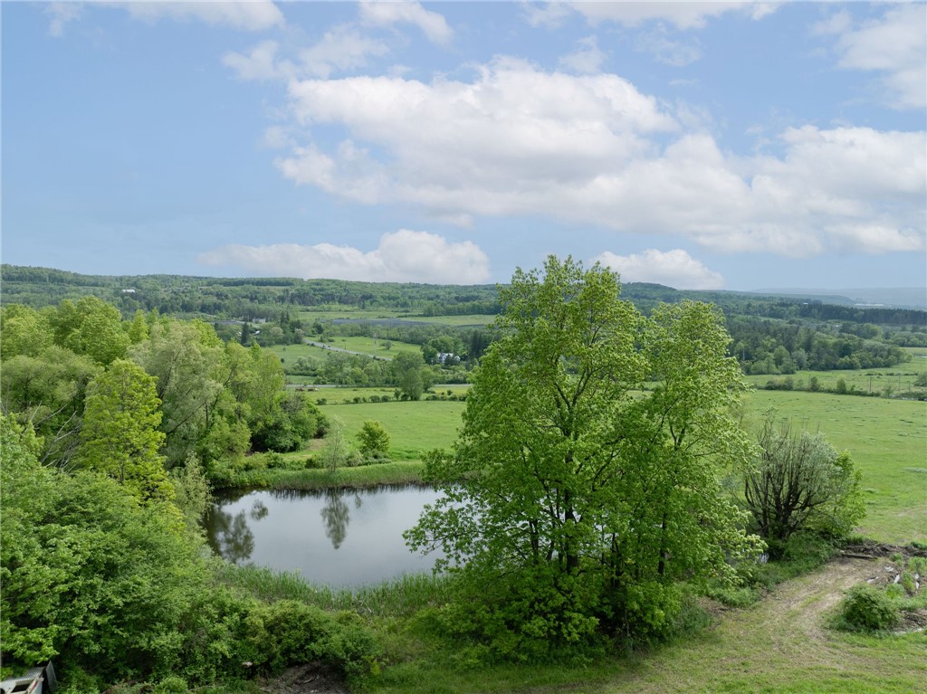 Turkey Hill Road, Dryden, New York image 15