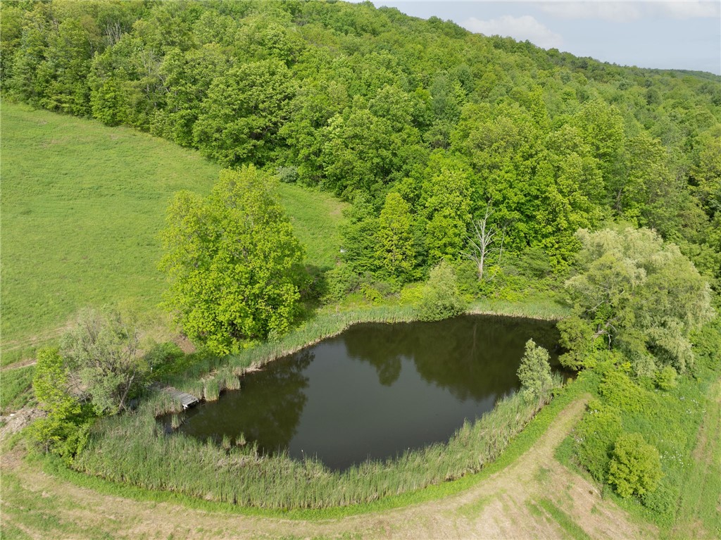 Turkey Hill Road, Dryden, New York image 16