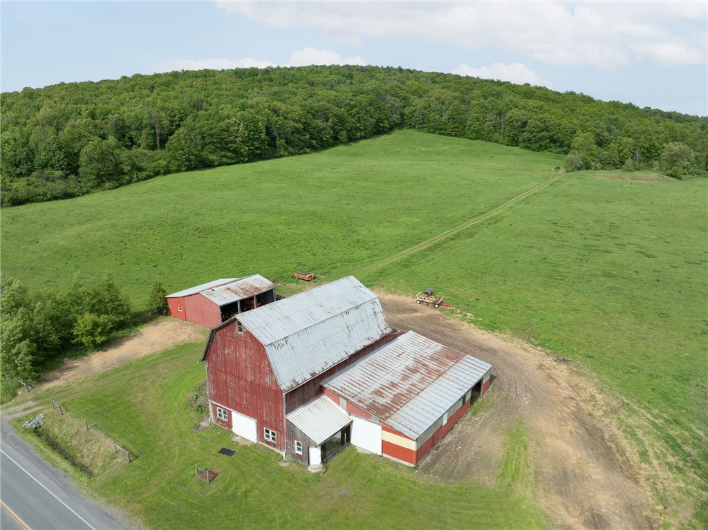 Turkey Hill Road, Dryden, New York image 2