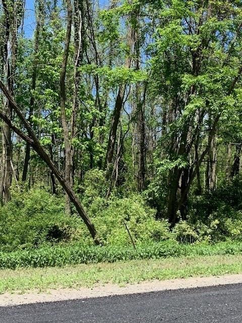 Vacant Land For Sale - 0 Covert Road<br/> Schuyler County, Hector, NY 14818