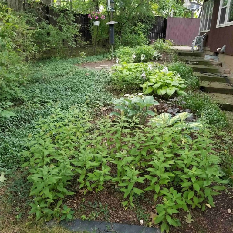 316 Comstock Road, Ithaca, New York image 47