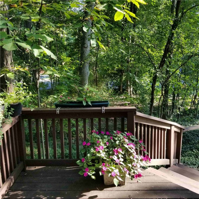 316 Comstock Road, Ithaca, New York image 48