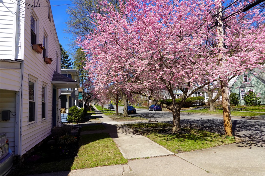510 Linn Street, Ithaca, New York image 4