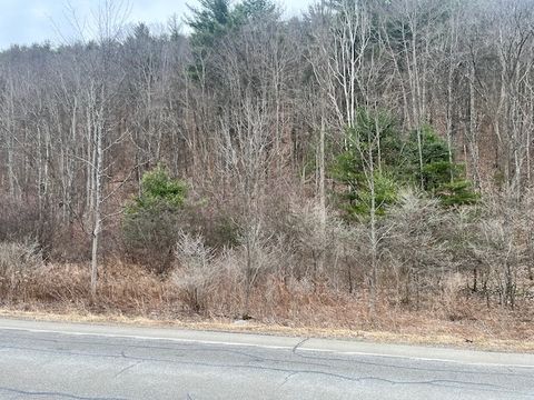 Vacant Land For Sale - State Route 34<br/> Van Etten, NY 14889