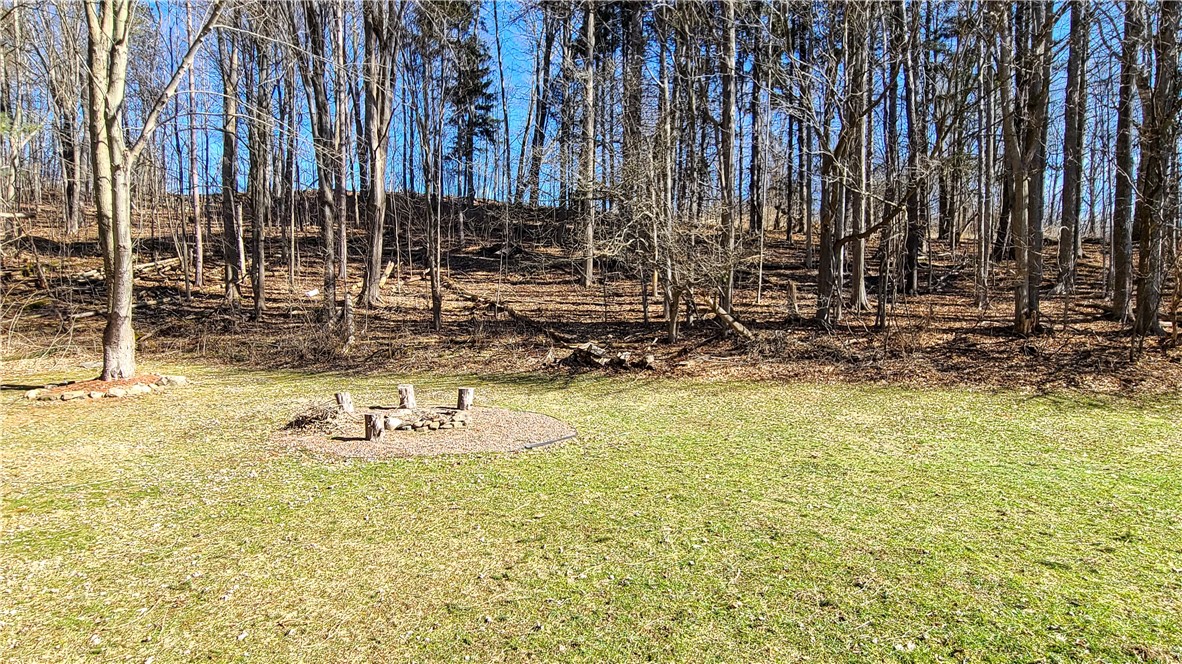 1 Lilac Lane, Dryden, New York image 5