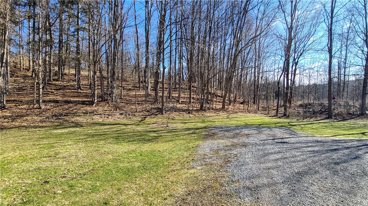 1 Lilac Lane, Dryden, New York image 45