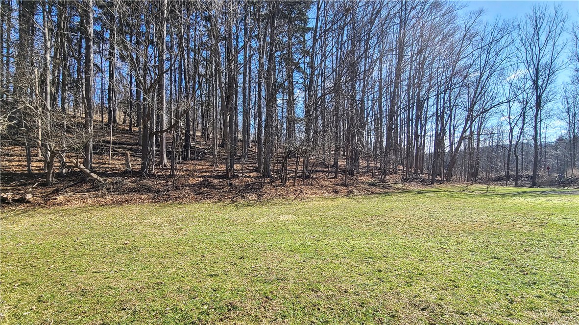 1 Lilac Lane, Dryden, New York image 46