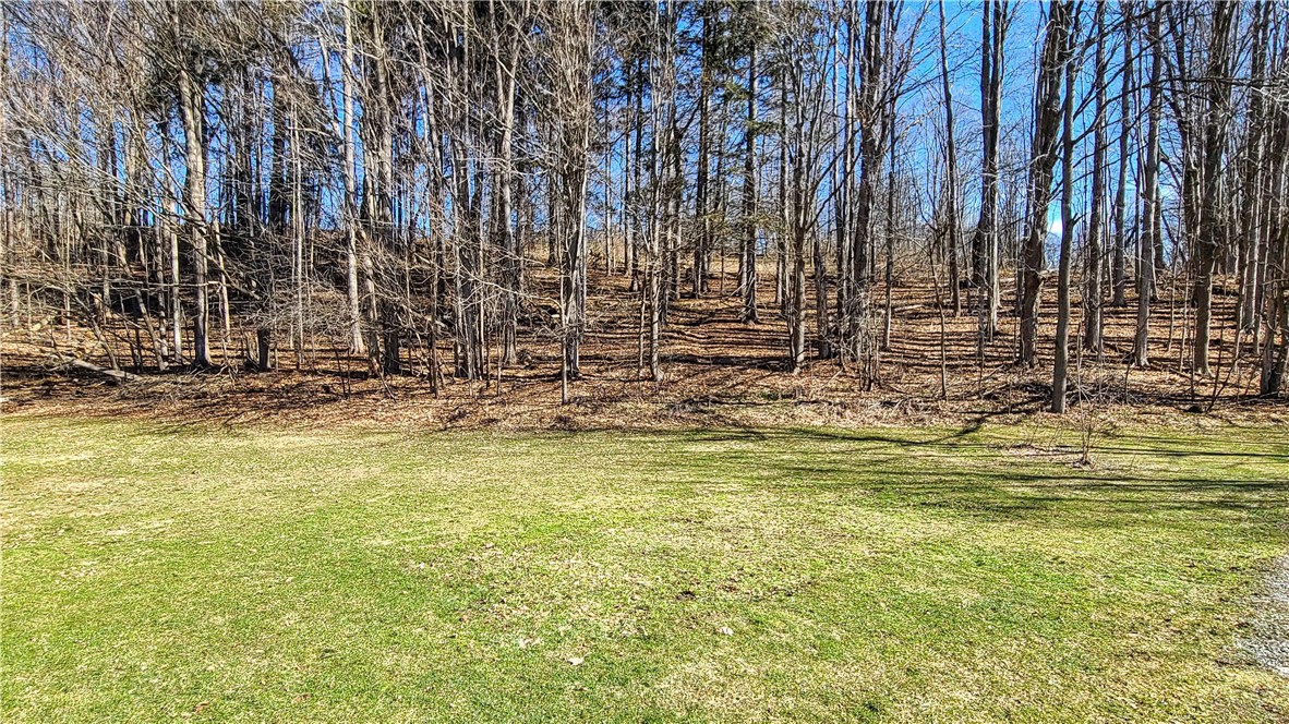 1 Lilac Lane, Dryden, New York image 6