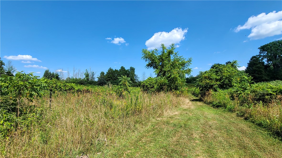 Lot 2 Scofield Road