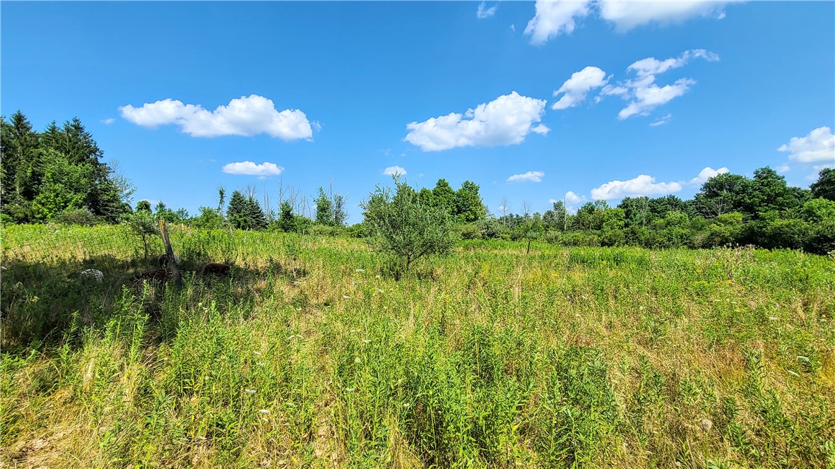 Lot 2 Scofield Road