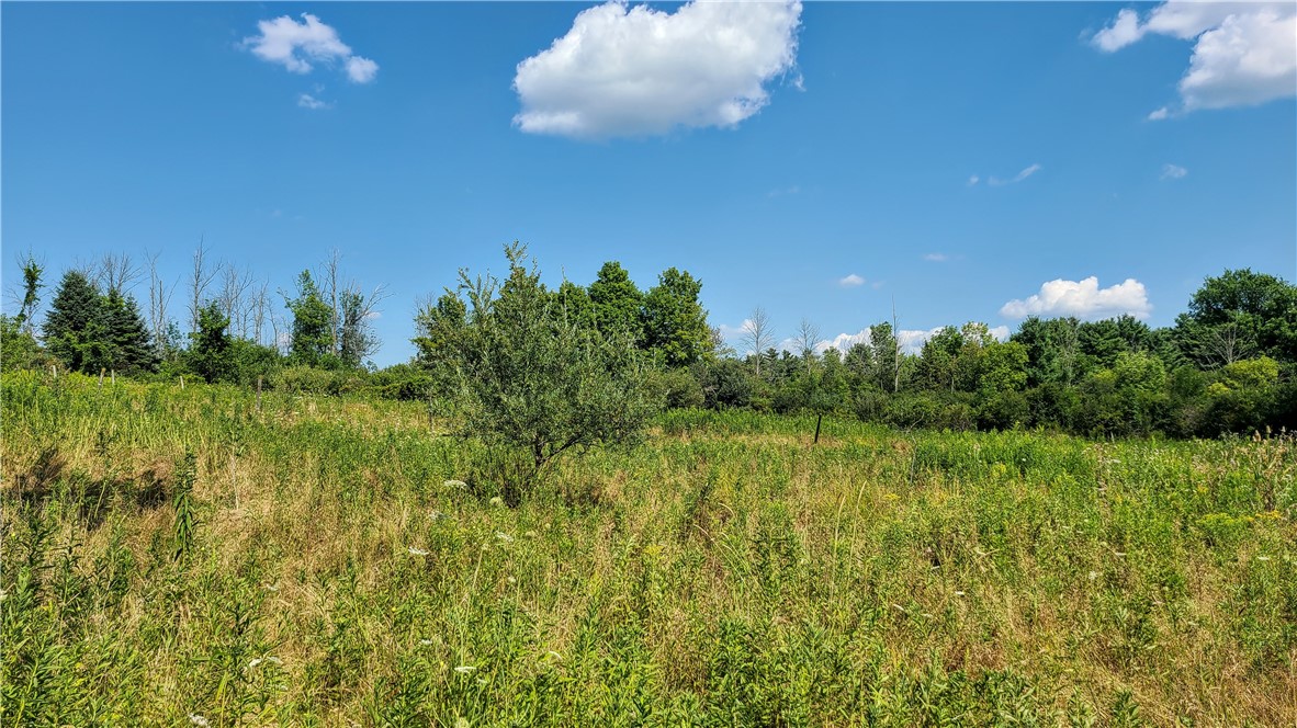 Lot 2 Scofield Road