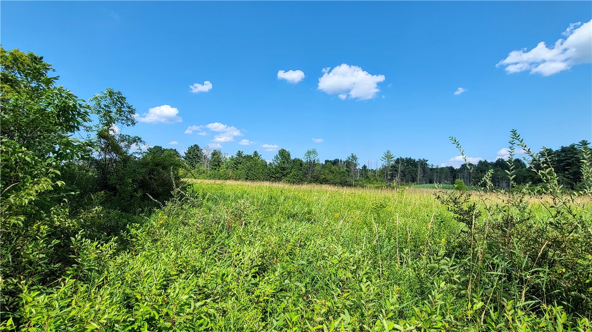 Lot 2 Scofield Road
