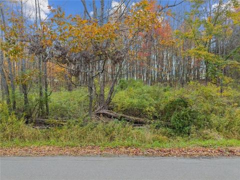 Vacant Land For Sale - Dawson Hill Road<br/> Spencer, NY 14883
