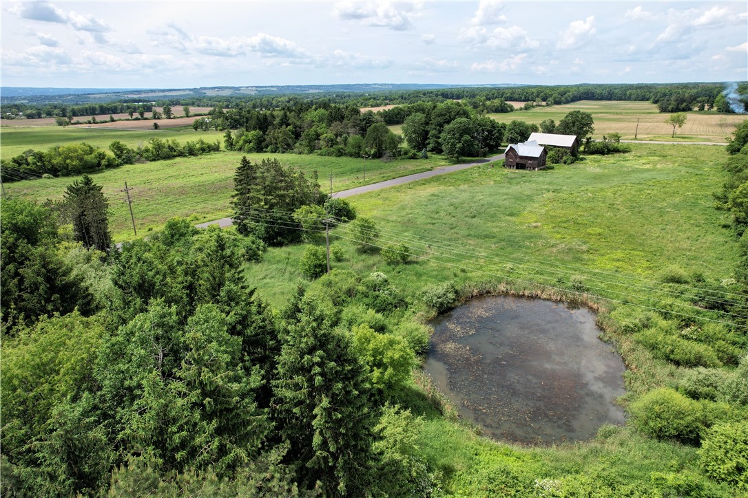 Benson Road, Lansing, New York image 30