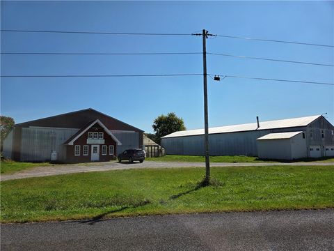 Vacant Land For Sale - 10252 W Shortcut Rd Road<br/> Cayuga County, Cato, NY 13033
