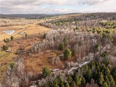 Vacant Land For Sale - Crumtown Rd<br/> Spencer, NY 14883