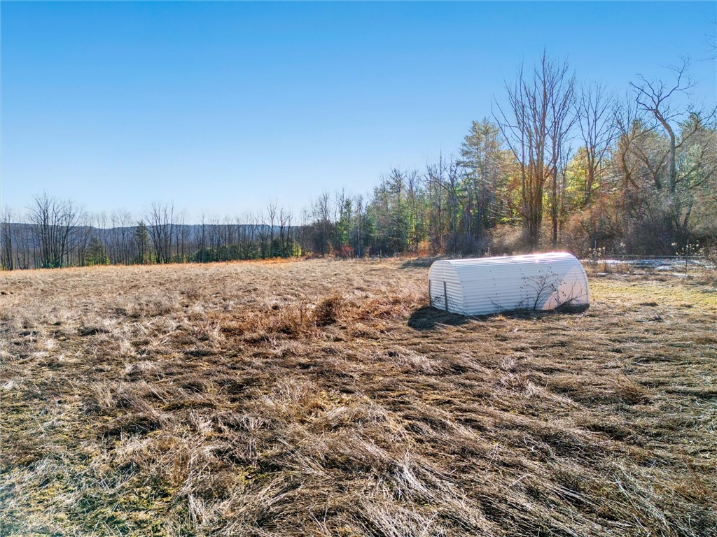 557 Shaffer Road, Newfield, New York image 39