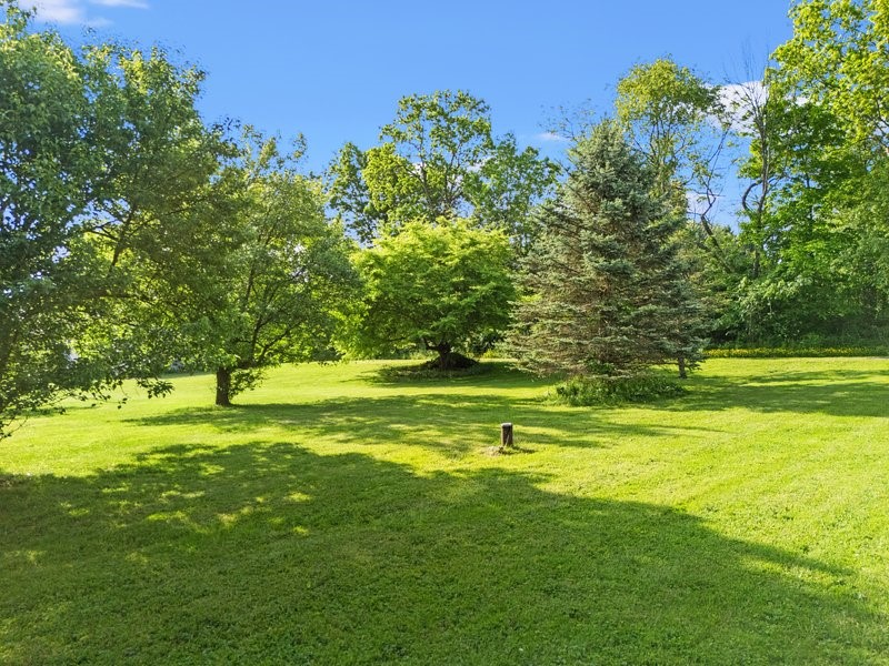 557 Shaffer Road, Newfield, New York image 48