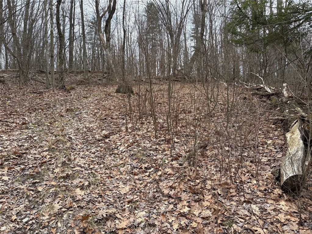 Forest Hill, Owego, New York image 30