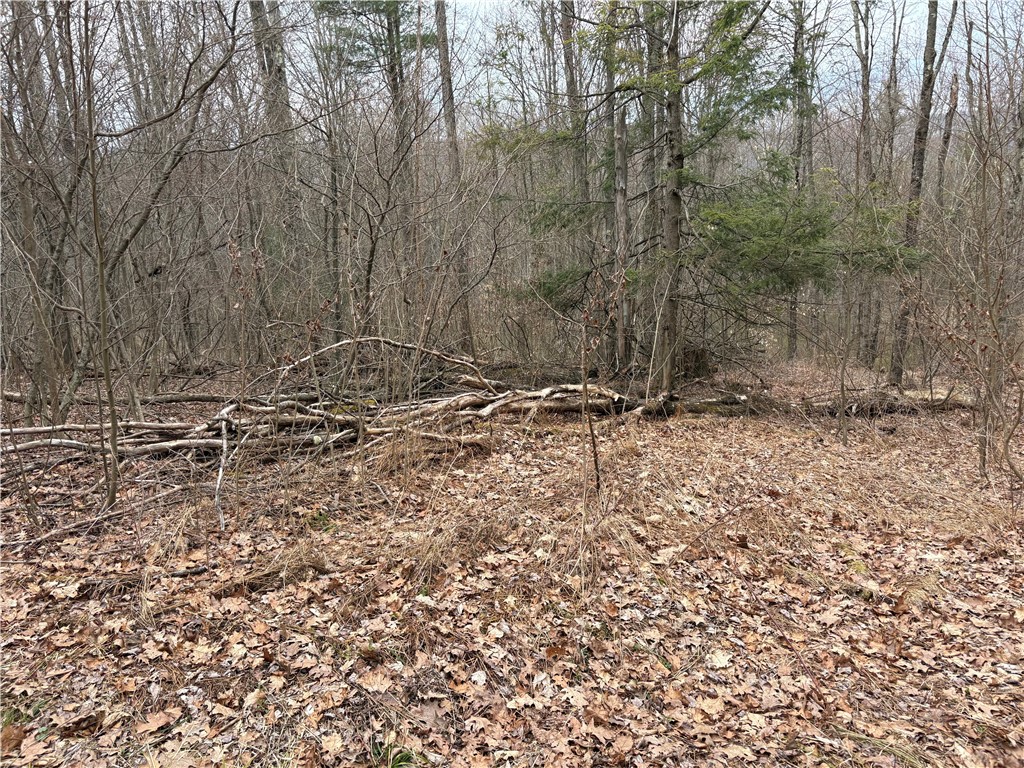 Forest Hill, Owego, New York image 28