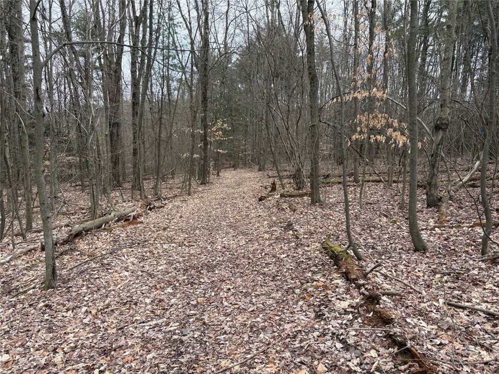 Forest Hill, Owego, New York image 34