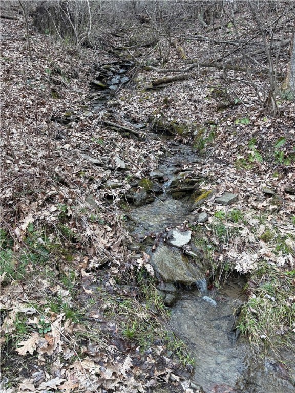 Forest Hill, Owego, New York image 39
