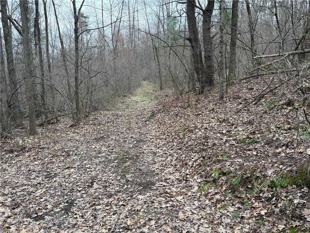 Forest Hill, Owego, New York image 38