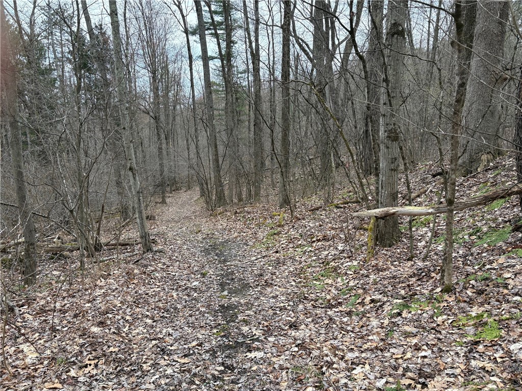 Forest Hill, Owego, New York image 15
