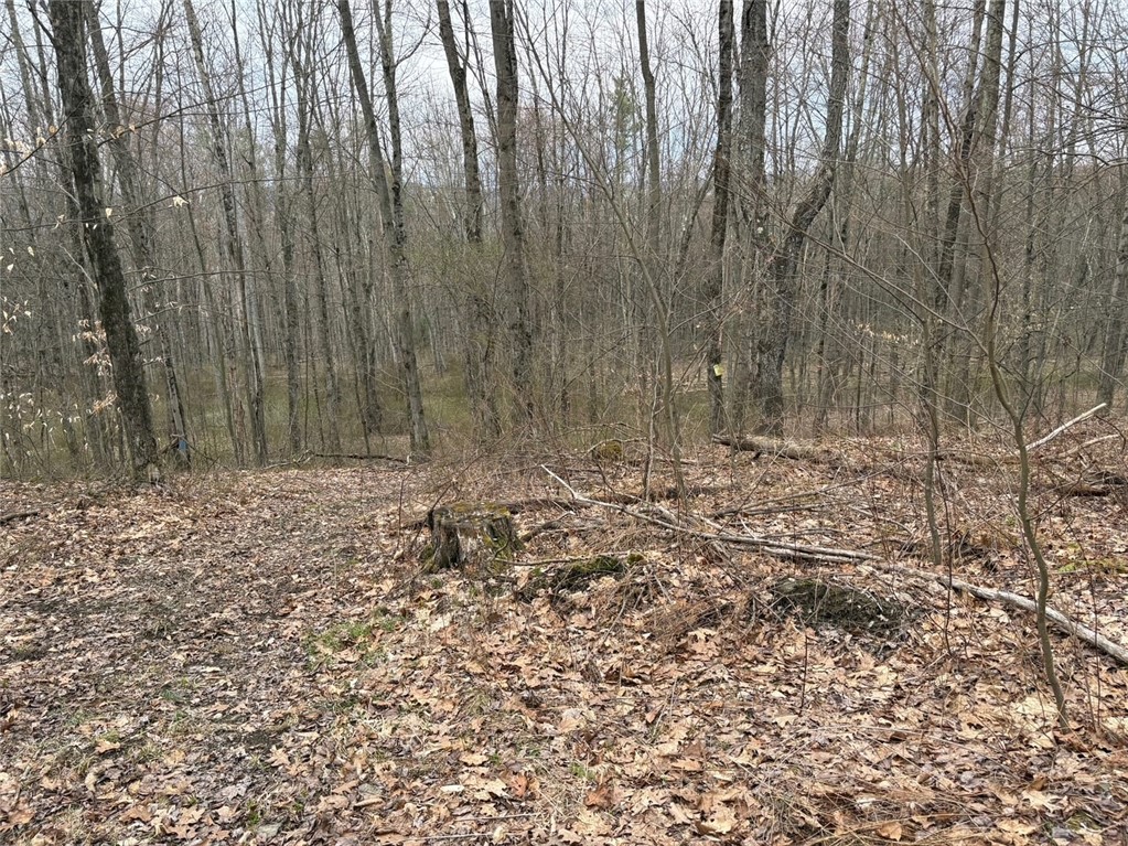Forest Hill, Owego, New York image 29