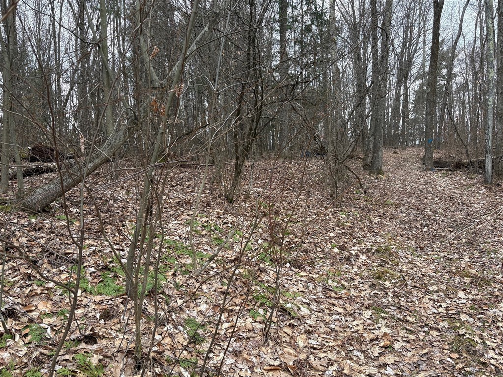 Forest Hill, Owego, New York image 36