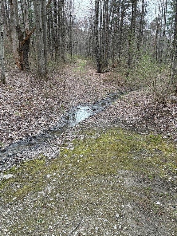 Forest Hill, Owego, New York image 25