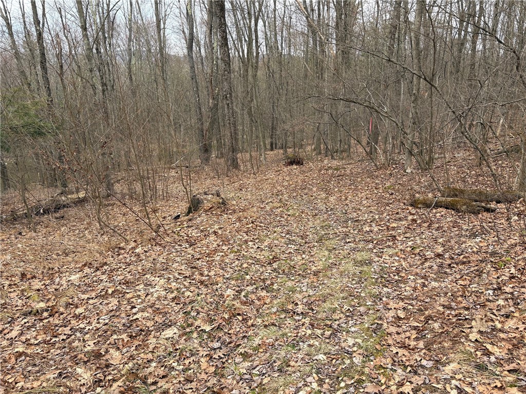 Forest Hill, Owego, New York image 31