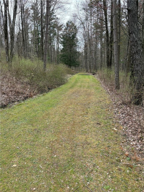 Forest Hill, Owego, New York image 5