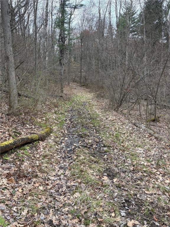 Forest Hill, Owego, New York image 40