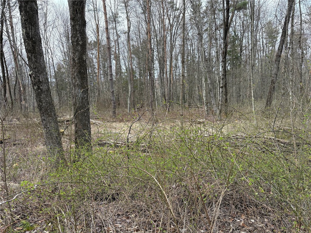 Forest Hill, Owego, New York image 26