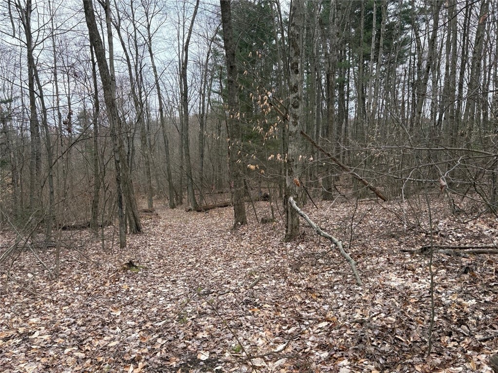 Forest Hill, Owego, New York image 35