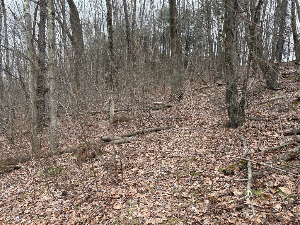 Forest Hill, Owego, New York image 32