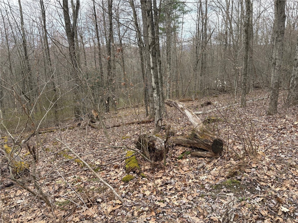 Forest Hill, Owego, New York image 27