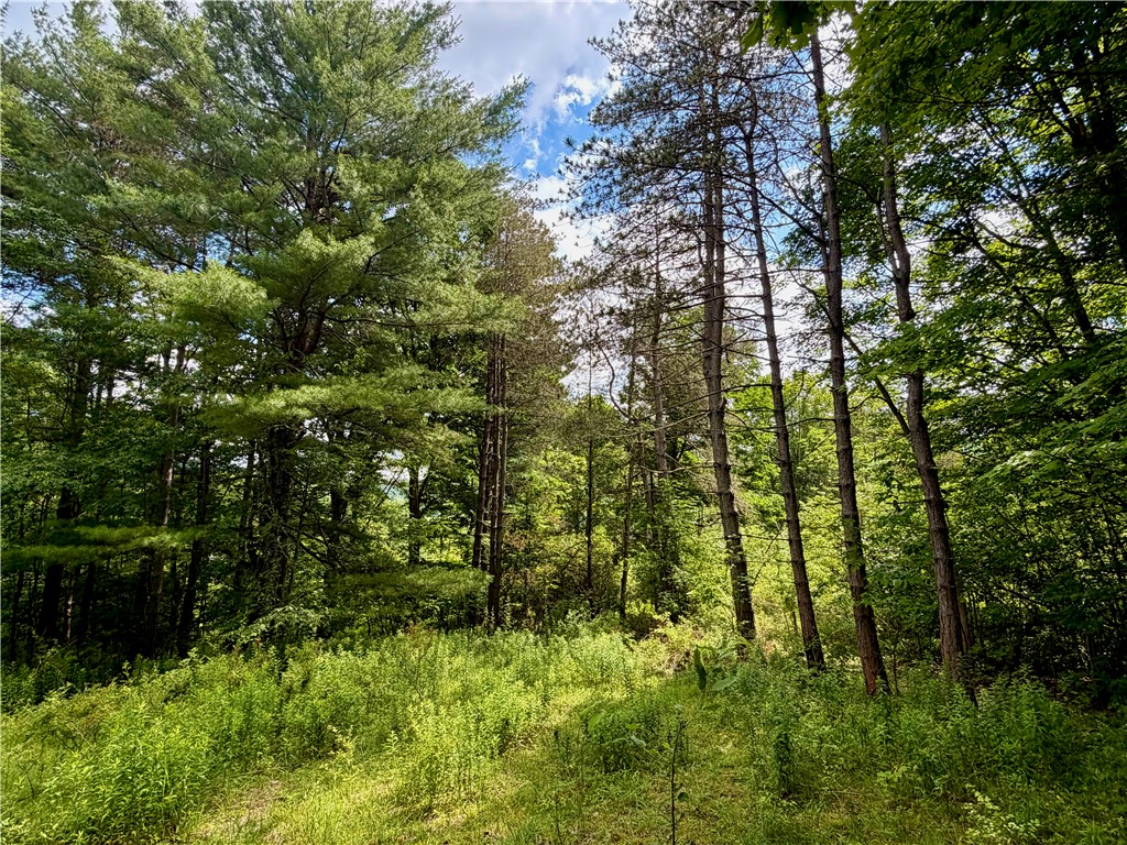 000 Ellis Hollow Road