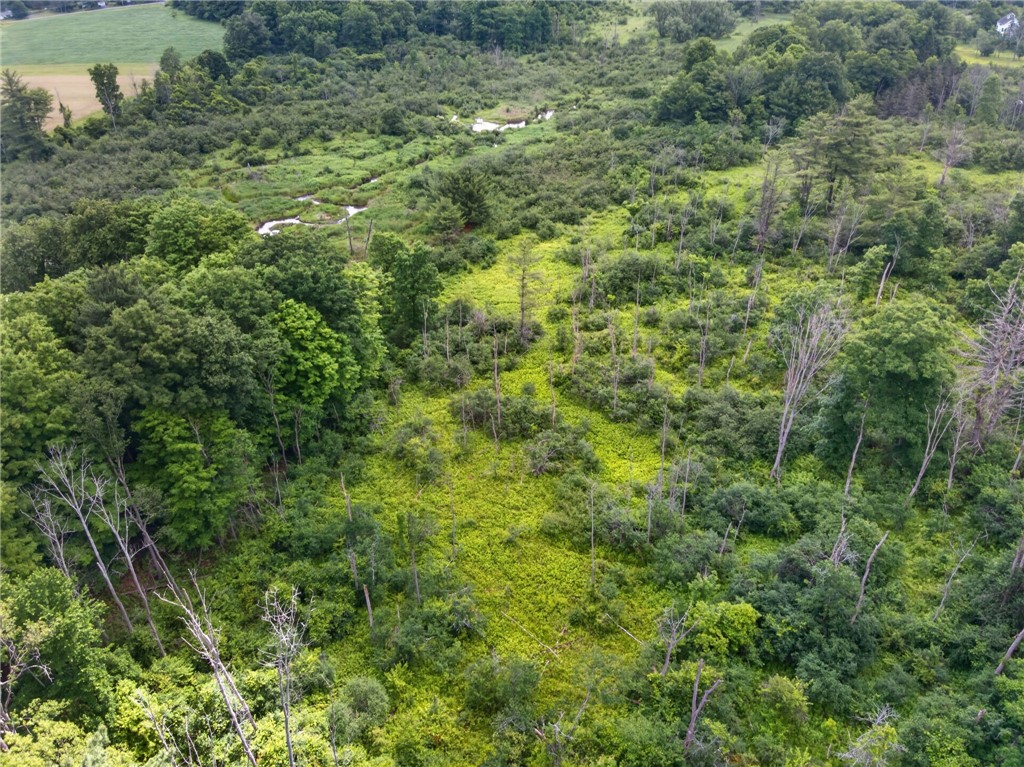 000 Ellis Hollow Road