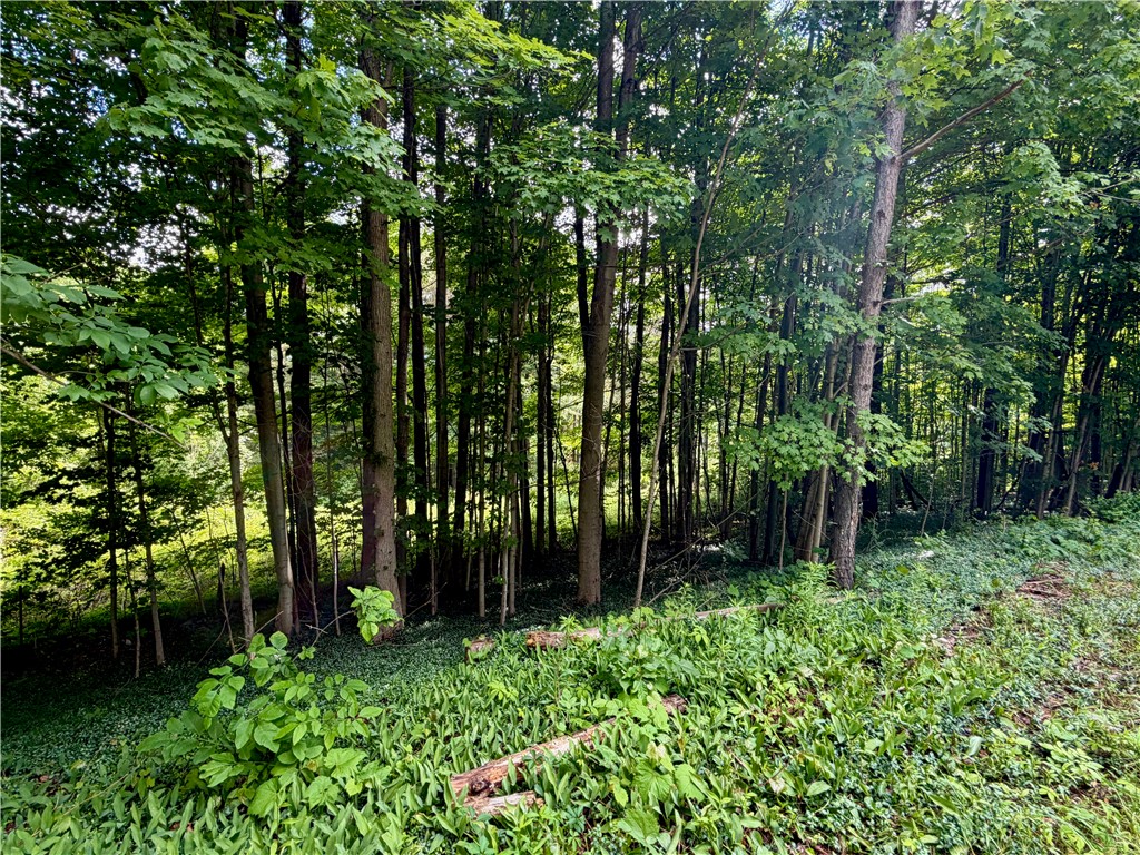 000 Ellis Hollow Road