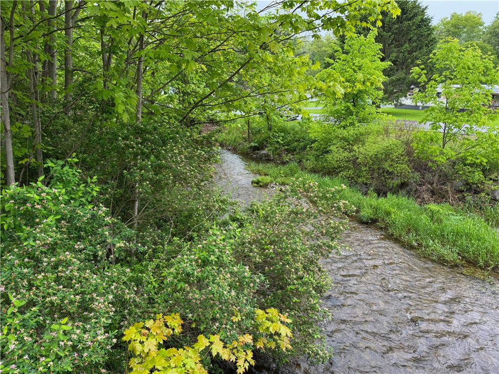 176-C Southworth Road, Dryden, New York image 1