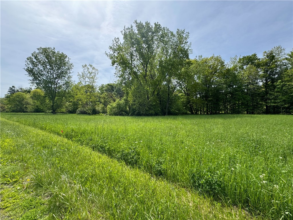 176-C Southworth Road, Dryden, New York image 7