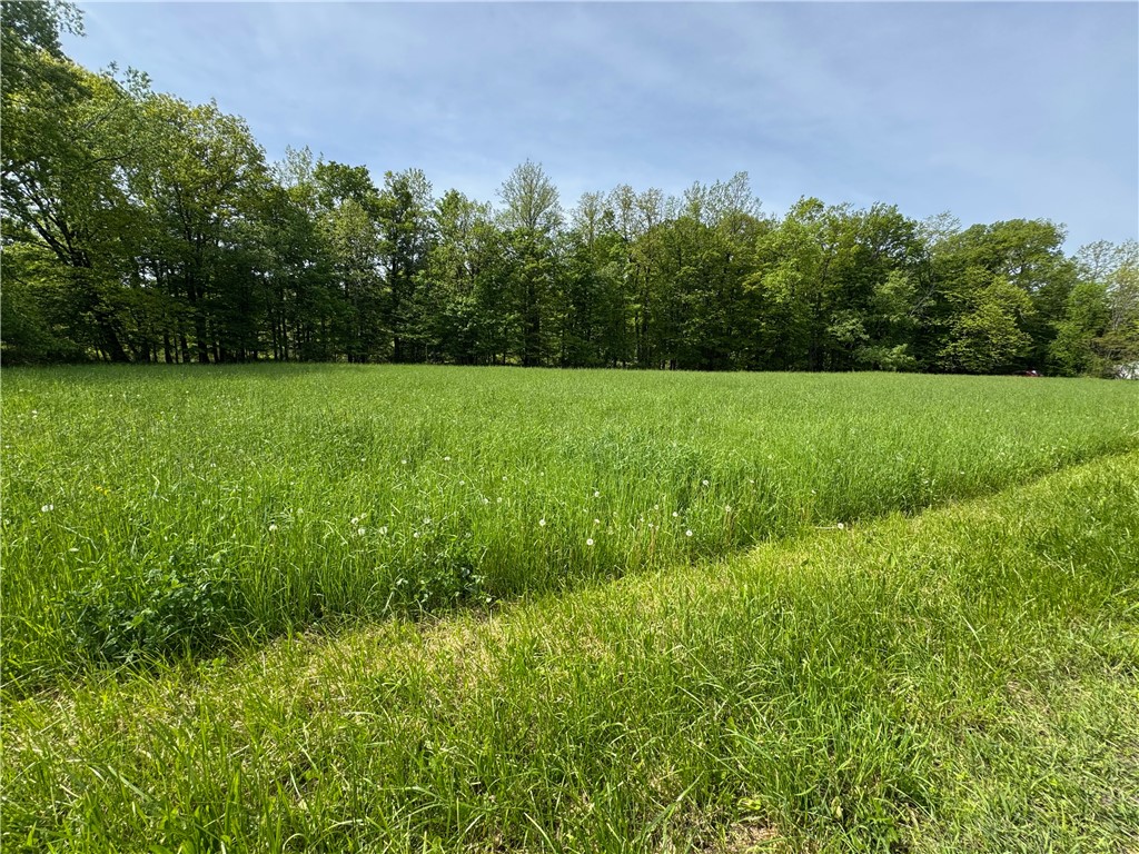 176-C Southworth Road, Dryden, New York image 6