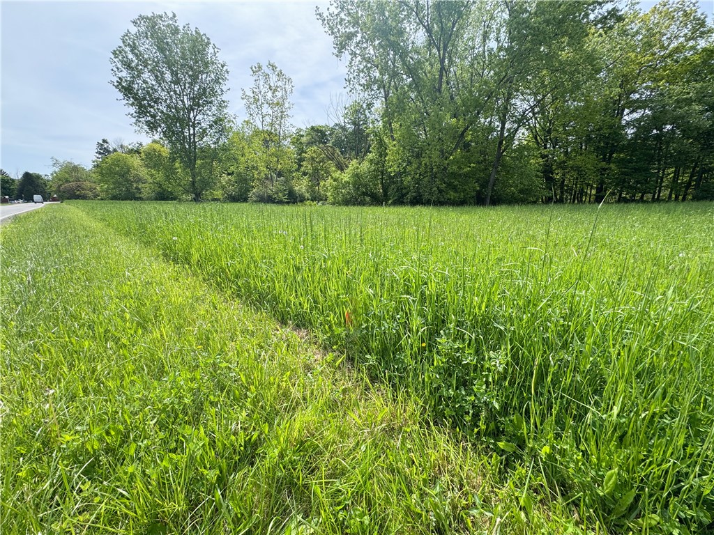 176-C Southworth Road, Dryden, New York image 2